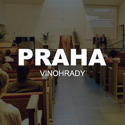 CASD Praha Vinohrady